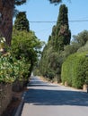 Characteristic Long Road of the Medieval Village of Bolgheri in Tuscany surrounded by Cypresses - Italy