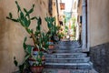 Narrow alley of Taormina, Sicily Royalty Free Stock Photo