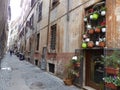 Characteristic narrow street with colored suspended vases to Rome in Italy.