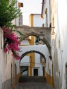 Characteristic small street with arcs to Evora in Portugal. Royalty Free Stock Photo