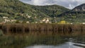 The characteristic village of Massaciuccoli seen from the homonymous lake, Lucca, Tuscany, Italy