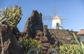 a characteristic windmill in a cactus garden in lanzarote