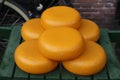 The characteristic yellow-colored round shapes of Dutch cheese Royalty Free Stock Photo