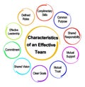 Characteristics of an Effective Team Royalty Free Stock Photo