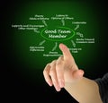 Characteristics of Good Team Member Royalty Free Stock Photo