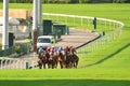 The characteristics of Happy Valley Racecourse