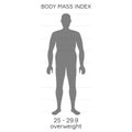 characterizing male silhouette for obese stage of body mass index