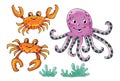 Inhabitants of the sea ocean octopus crab algae drawing