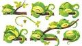 Characters of green snakes isolated on white background. Modern cartoon illustration of cute serpent mascots sleeping in