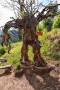 Characters from Lord of the Rings have been created from trees and wood at Bosque ENTS Cusco, a new attraction for tourists