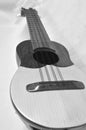 closeup of mandolin or charango in black and white