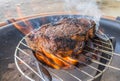 Charbroiled or Grilled Ribeye Steak Royalty Free Stock Photo