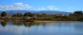 Charca of Maspalomas, Canary Islands Royalty Free Stock Photo