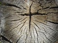 Charcater cracks of old wood Royalty Free Stock Photo