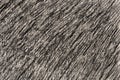 Charcoal drawing pattern on paper background Royalty Free Stock Photo