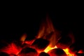 Charcoal fire for barbecue Royalty Free Stock Photo