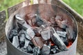 charcoal grill on fire at preheat