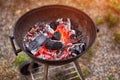 Charcoal grill ready for barbecue, outdoor party Royalty Free Stock Photo