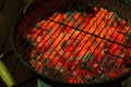 Charcoal grill is ready for barbecue party Royalty Free Stock Photo