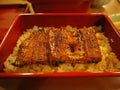 Cook dishes filled with eel with sauce, baked box type, UNAJU