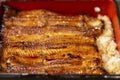 Charcoal grilled Unagi eel over rice or Japanese Unagi donburi Unadon rice recipe.