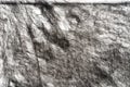 Charcoal on paper drowing background texture Royalty Free Stock Photo