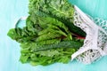 Chard, arugula, kale and cucumbers in mesh bag