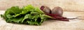 Chard with leaves and beetroots on soup on wooden board Royalty Free Stock Photo