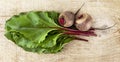 Chard with leaves and beetroots on soup on wooden board Royalty Free Stock Photo