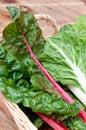 Chard leaves