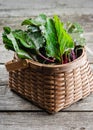 Chard leaves in a wicker basket on a rustic wooden table