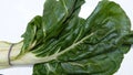 1432/5000 Chard vegetable on on white background high definition