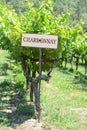 Chardonnay Grapes Sign