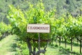 Chardonnay Grapes Sign Royalty Free Stock Photo