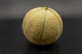 A charentais / cantalupe melon Royalty Free Stock Photo