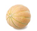 Charentais melon Royalty Free Stock Photo