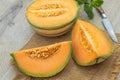 Charentais melon cut Royalty Free Stock Photo