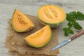 Charentais melon cut Royalty Free Stock Photo