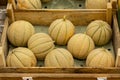 Charentais melons in a wooden box, ripe little melon on the counter of the farmers market