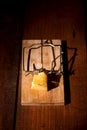 Charged mousetrap cheese