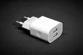 Charger with two USB connectors Royalty Free Stock Photo