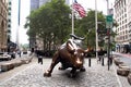 Charging Bull, aka the Wall Street Bull, bronze sculpture on Broadway at Bowling Green, New York, NY