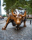 Charging Bull