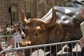 Charging Bull or Bull of Wall Street in Manhattan Royalty Free Stock Photo