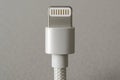 Charging Cable Tip Close-Up â Technology and Electronics Detail Royalty Free Stock Photo