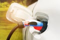 Charging electric vehicles with an electric cable with the image of the flag of Slovakia