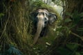 charging elephant breaking through dense jungle foliage Royalty Free Stock Photo