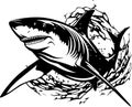 Charging Shark Monochrome Logo Design For Sports Teams and Brands