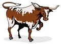 Charging texas longhorn bull