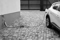 Charging white electric car from home power grid close-up. Hybrid car Electric charger.